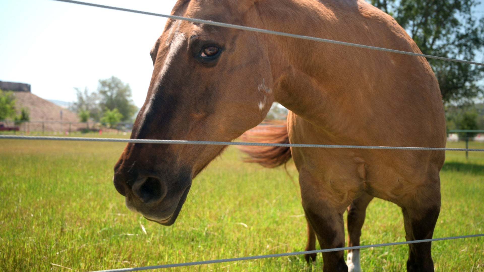 Rancho Mission Viejo | The Ranch