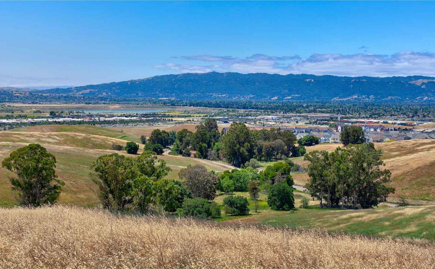 Francis Ranch by Trumark Homes in Dublin, CA