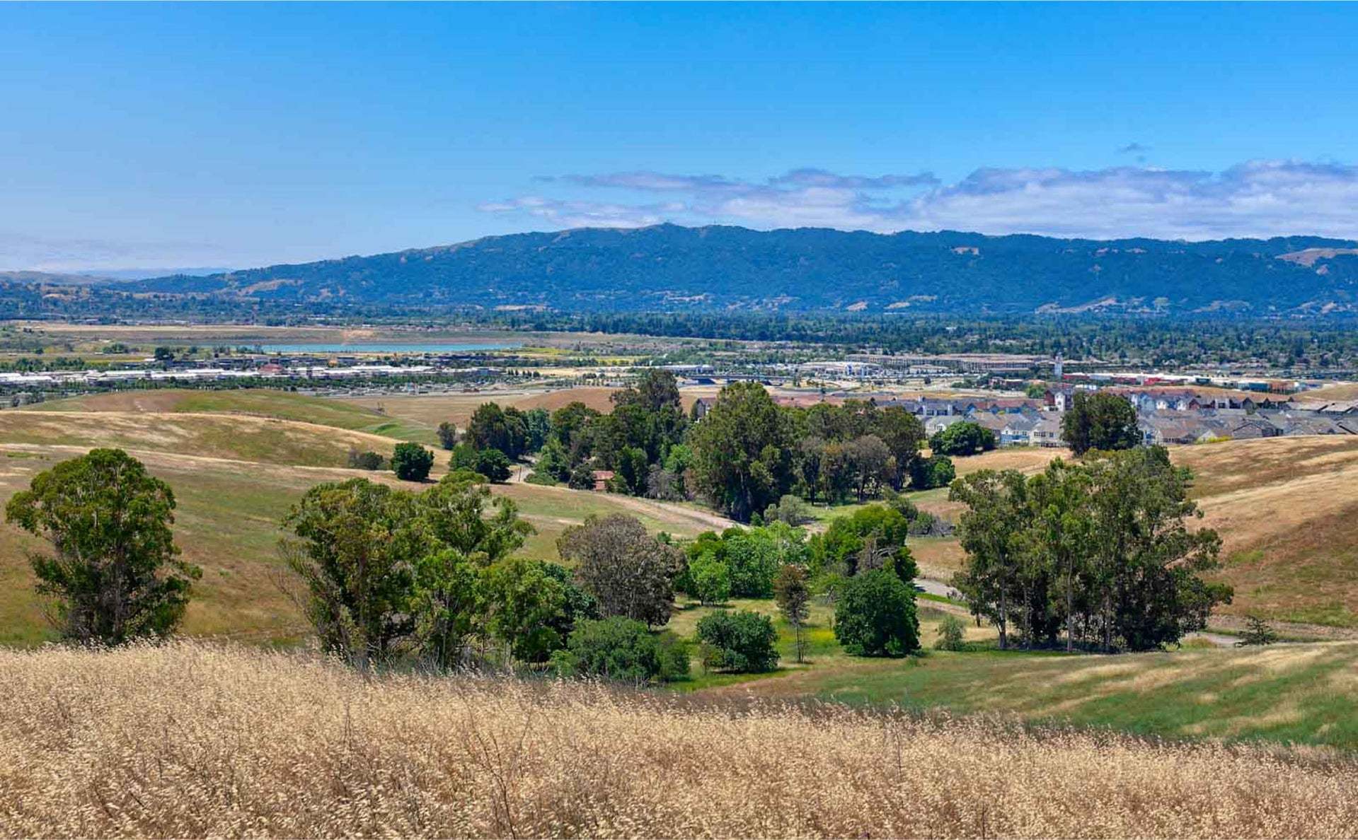 Francis Ranch by Trumark Homes in Dublin, CA