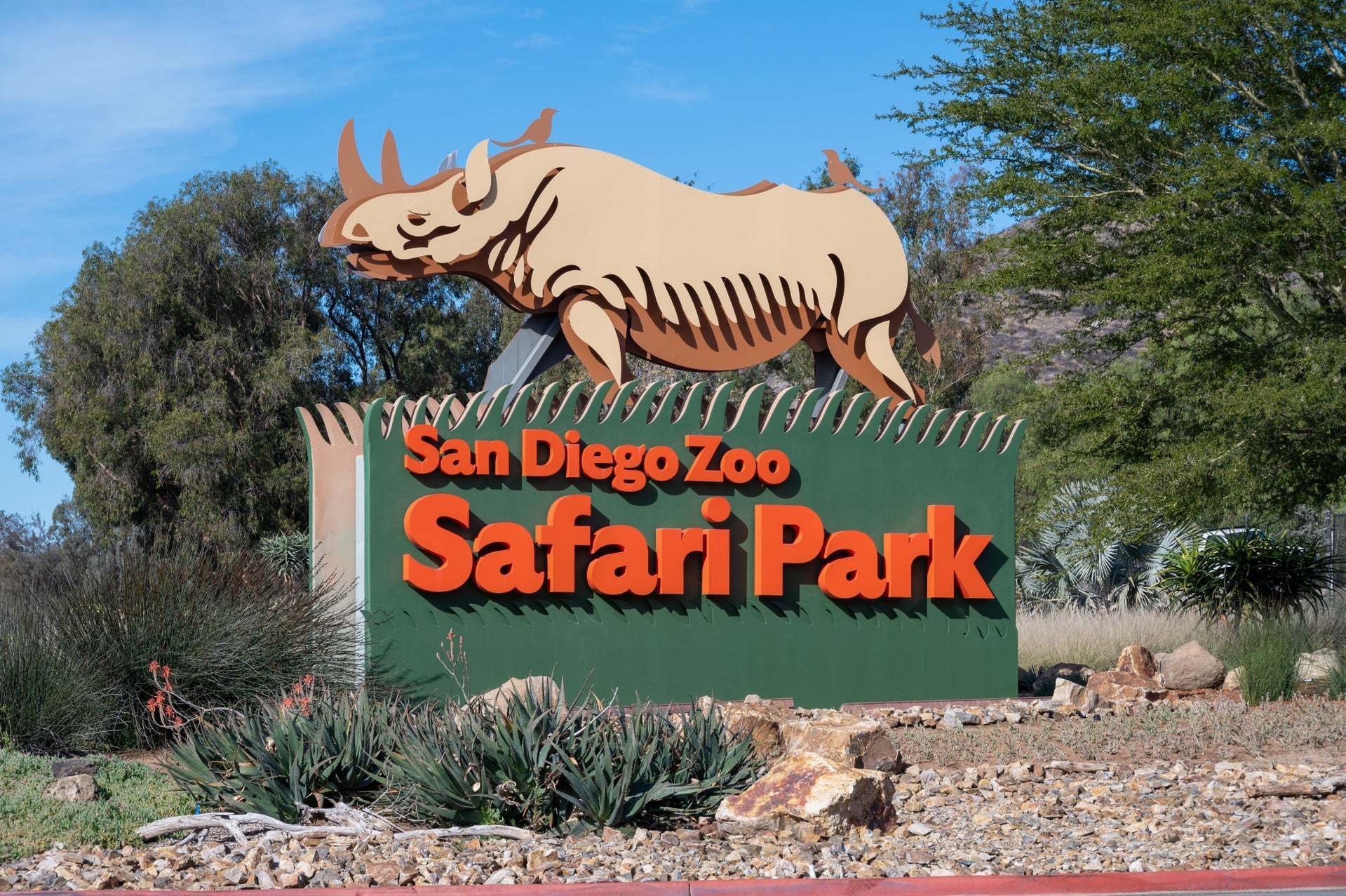 San Diego Zoo | Safari Park