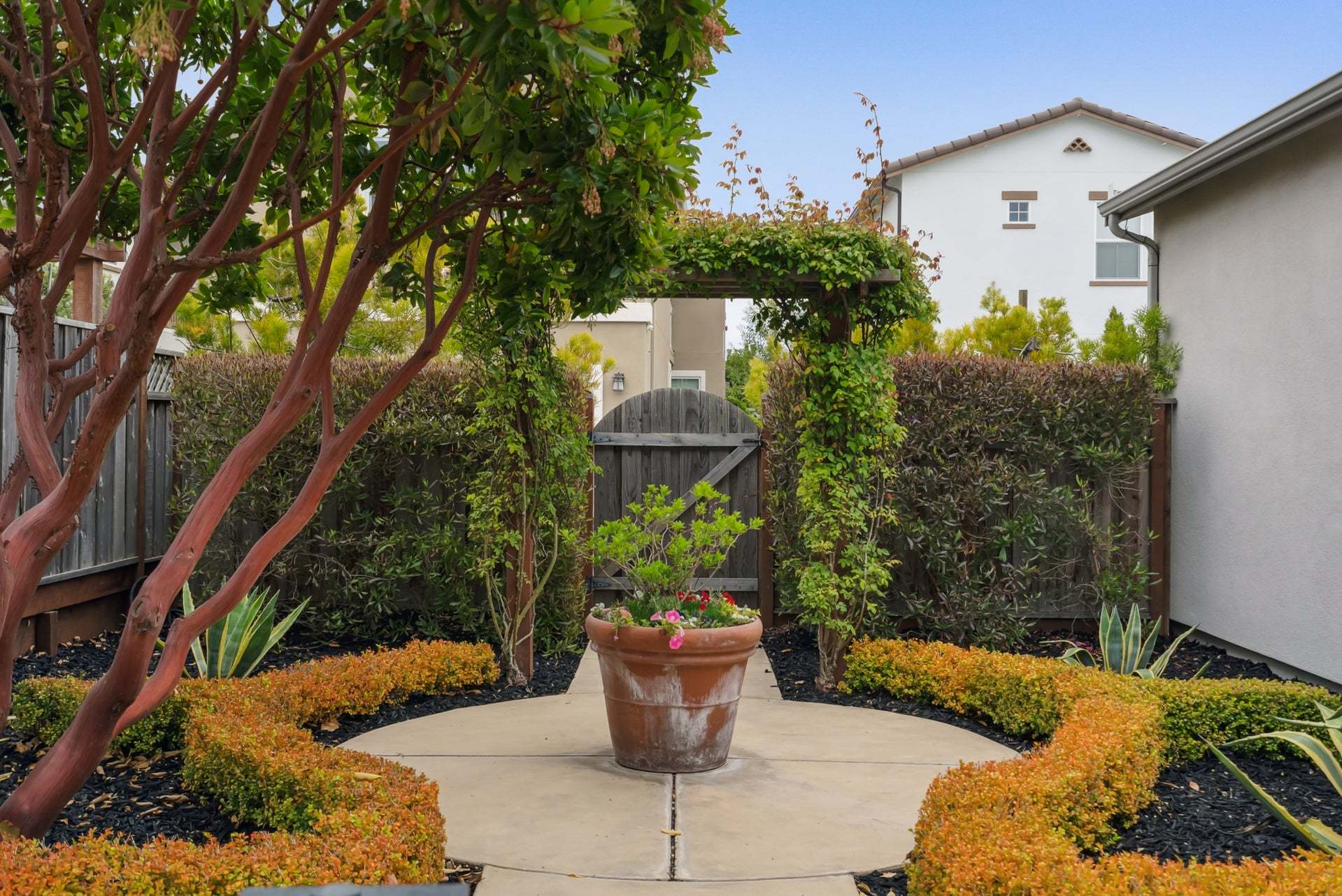 Layia at Sea Haven | Tate Model | Backyard