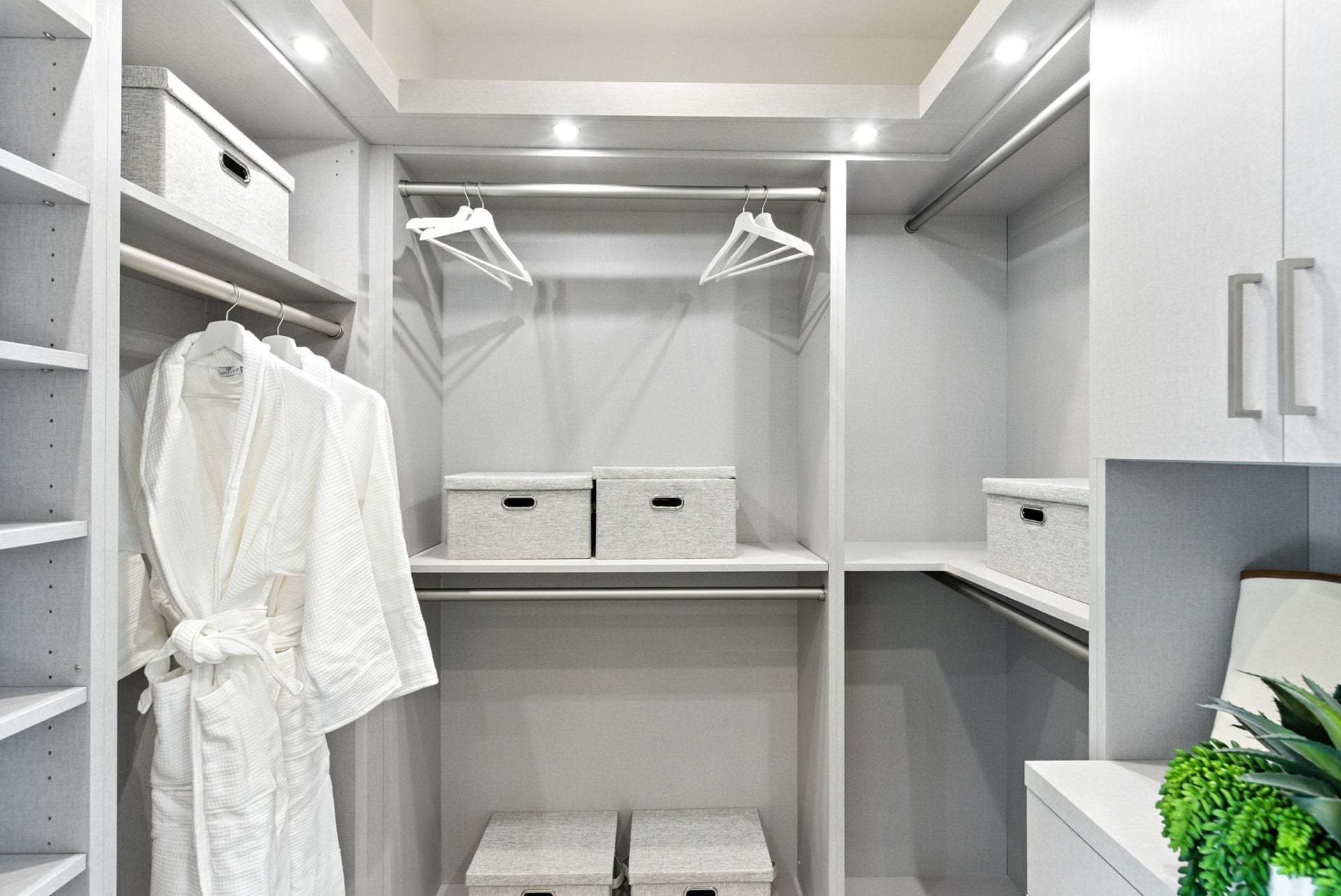 Apricot Estates by Trumark Homes in Brentwood, CA I Residence 2 Model I Walk-In Closet