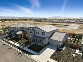 Apricot Estates - Brentwood, CA