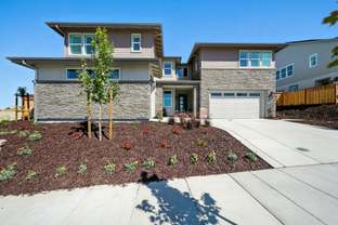 Residence 3 - Orchid at Francis Ranch: Dublin, California - Trumark Homes
