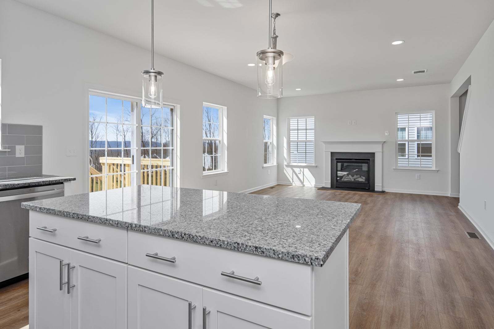 Lily Kitchen and Great Room