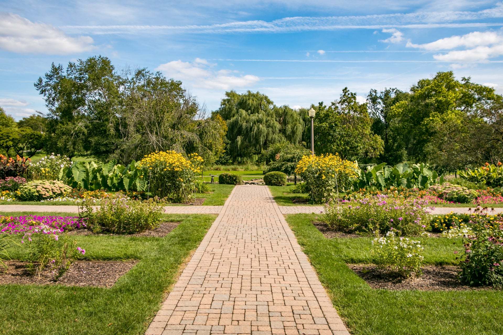 Rose Garden