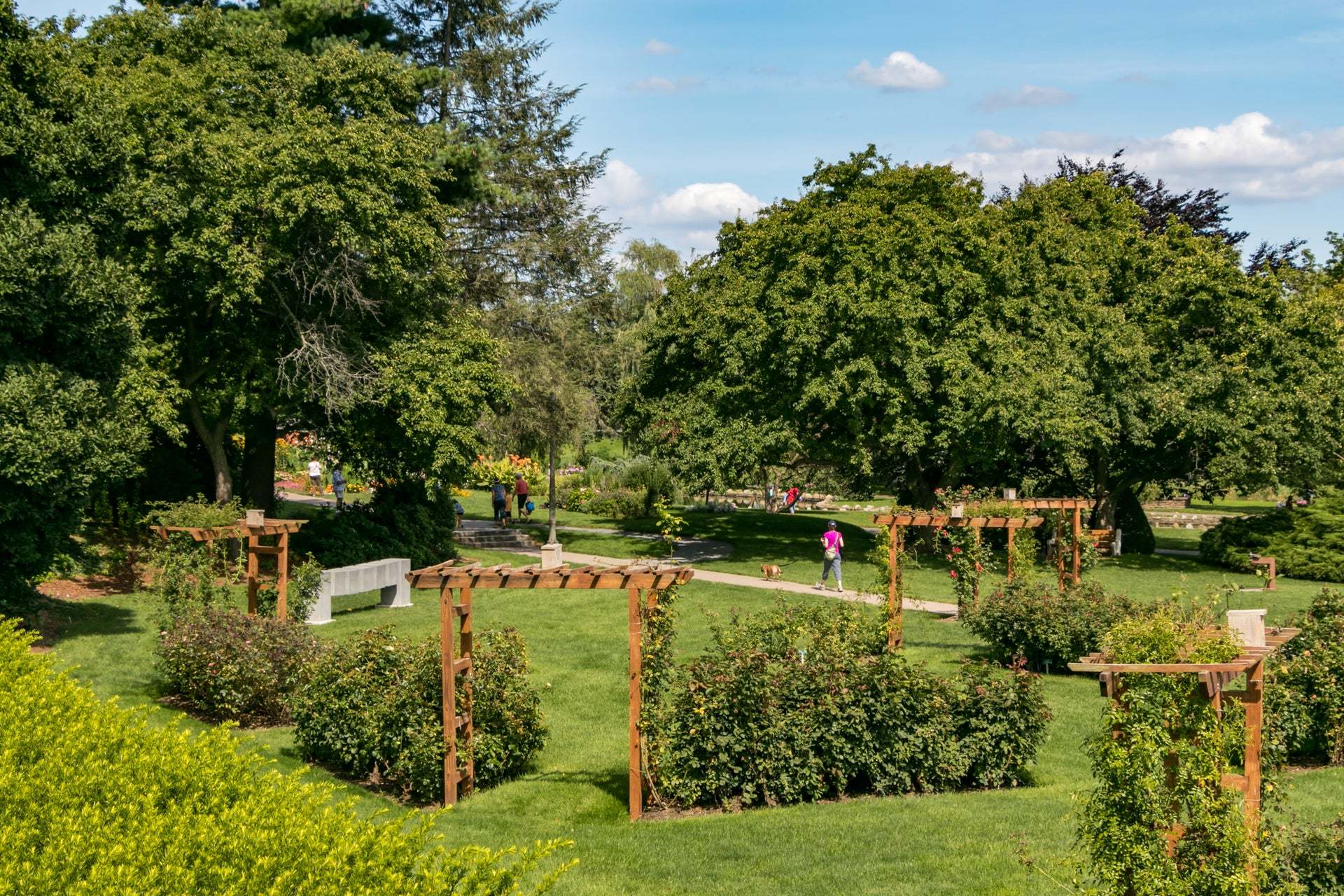 Rose Garden
