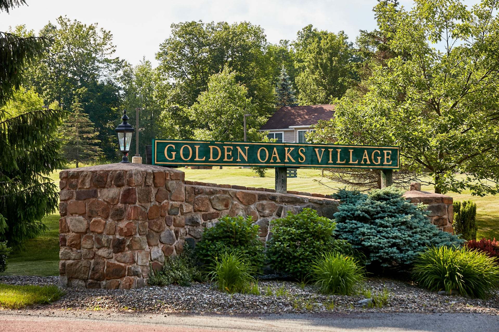 Golden Oaks