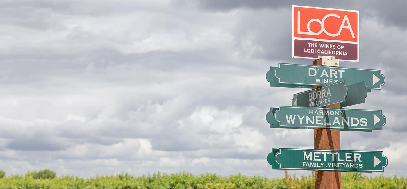 Lodi wine country