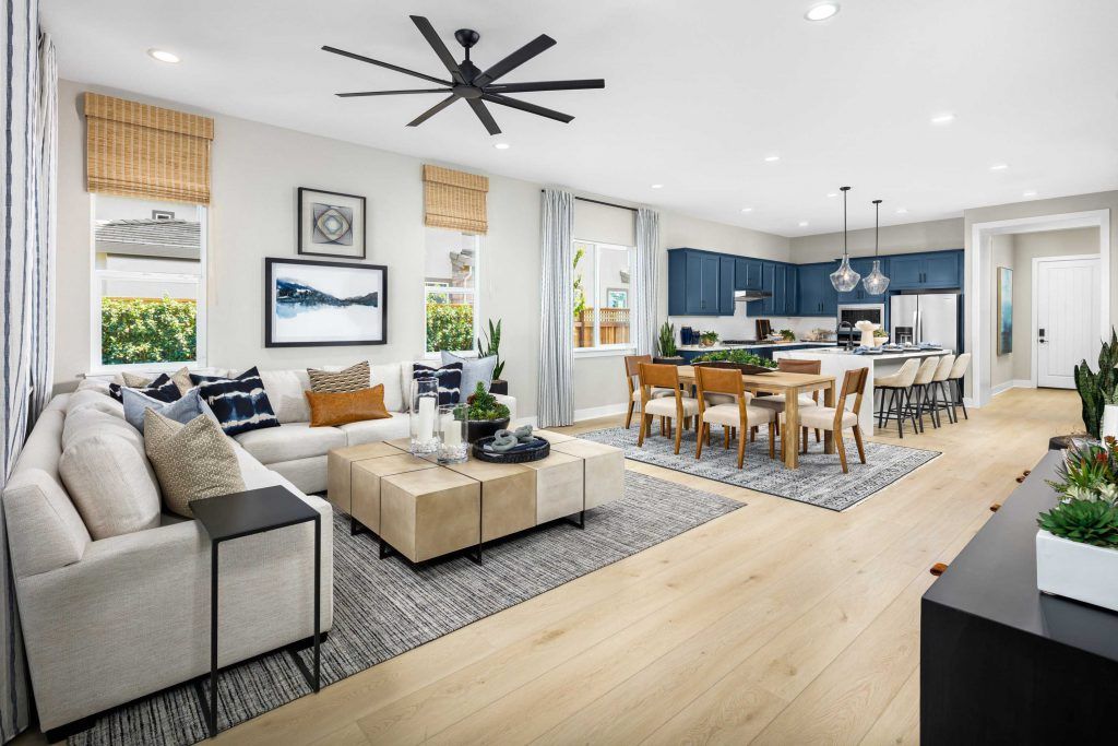 Great Room, Dining Area, and Kitchen 