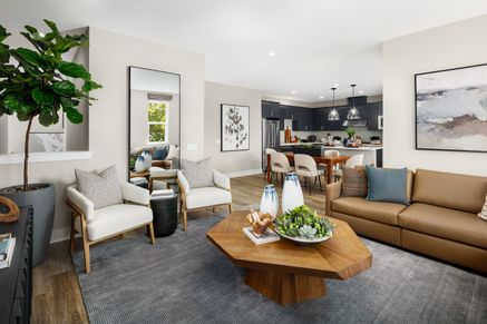 Spacious Living Room