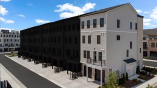 Cameron 24-R1 - Demott & Silver: Ashburn, District Of Columbia - Van Metre Homes