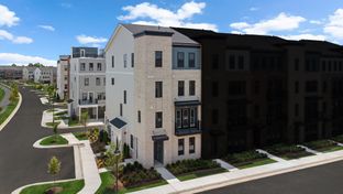 Collier 24-R1 - Demott & Silver: Ashburn, District Of Columbia - Van Metre Homes