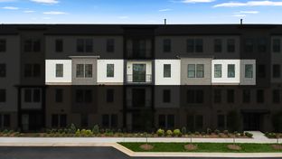 Griffin V - Birchwood at Brambleton: Ashburn, District Of Columbia - Van Metre Homes