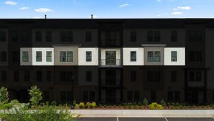 Griffin V - Birchwood at Brambleton: Ashburn, District Of Columbia - Van Metre Homes