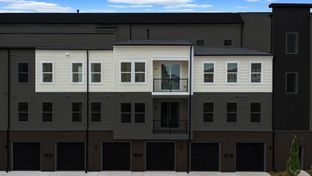 Newman II - Birchwood at Brambleton: Ashburn, District Of Columbia - Van Metre Homes