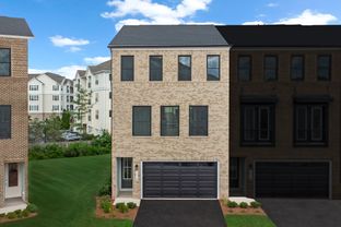 Taryn 24-F2 - Arpina Valley: Herndon, District Of Columbia - Van Metre Homes