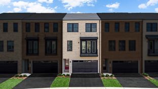 Taryn 24-F2 - Arpina Valley: Herndon, District Of Columbia - Van Metre Homes