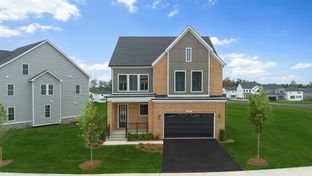 Stone 36-F2 - West Park IV: Ashburn, District Of Columbia - Van Metre Homes