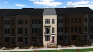 Tatum 16-R1-RT - Arpina Valley: Herndon, District Of Columbia - Van Metre Homes