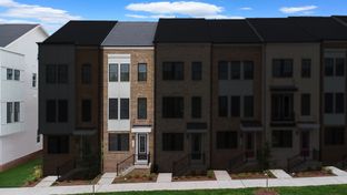 Tatum 16-R1-RT - Arpina Valley: Herndon, District Of Columbia - Van Metre Homes