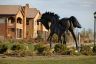 homes in Flying Horse by Vantage Homes