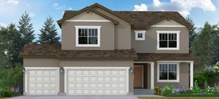 Fairhope - Percheron: Colorado Springs, Colorado - Vantage Homes