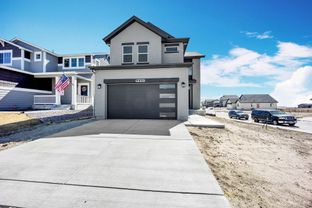 Daphne - Sterling Ranch: Colorado Springs, Colorado - Vantage Homes