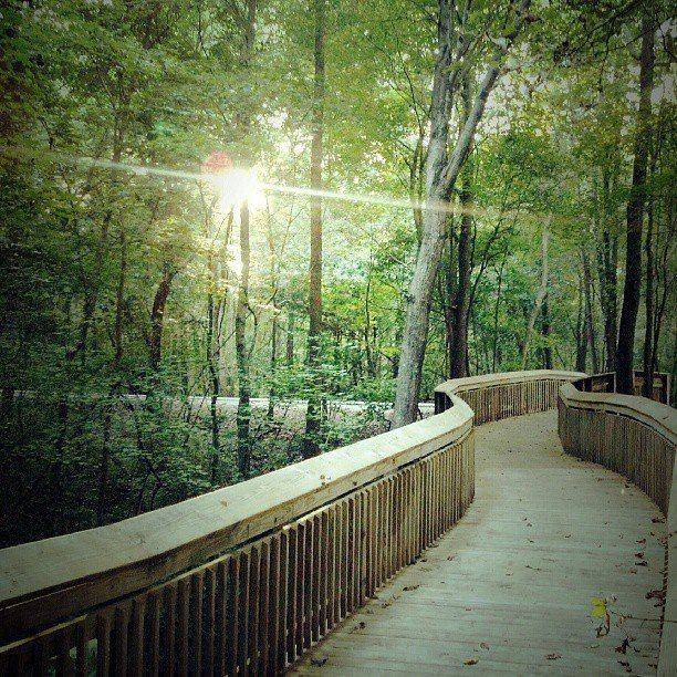 homes in Pandora's Path by Veranda Homes