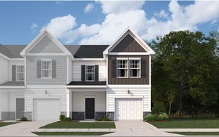 Lawson - The Falls: Blythewood, South Carolina - Veranda Homes