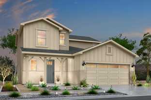 Nolina - Paseos Del Este: Horizon City, Texas - Desert View Homes