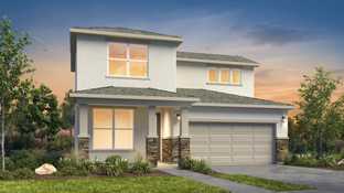 Texas Olive - Paseos Del Este: Horizon City, Texas - Desert View Homes