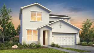 Texas Olive - Paseos Del Este: Horizon City, Texas - Desert View Homes