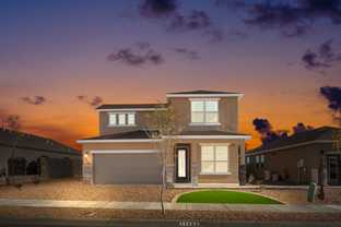Texas Olive - Paseos Del Este: Horizon City, Texas - Desert View Homes