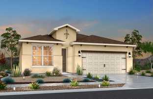 Prickly Pear - Paseos Del Este: Horizon City, Texas - Desert View Homes