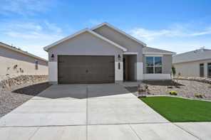 14408 Desert Wind (Acacia)