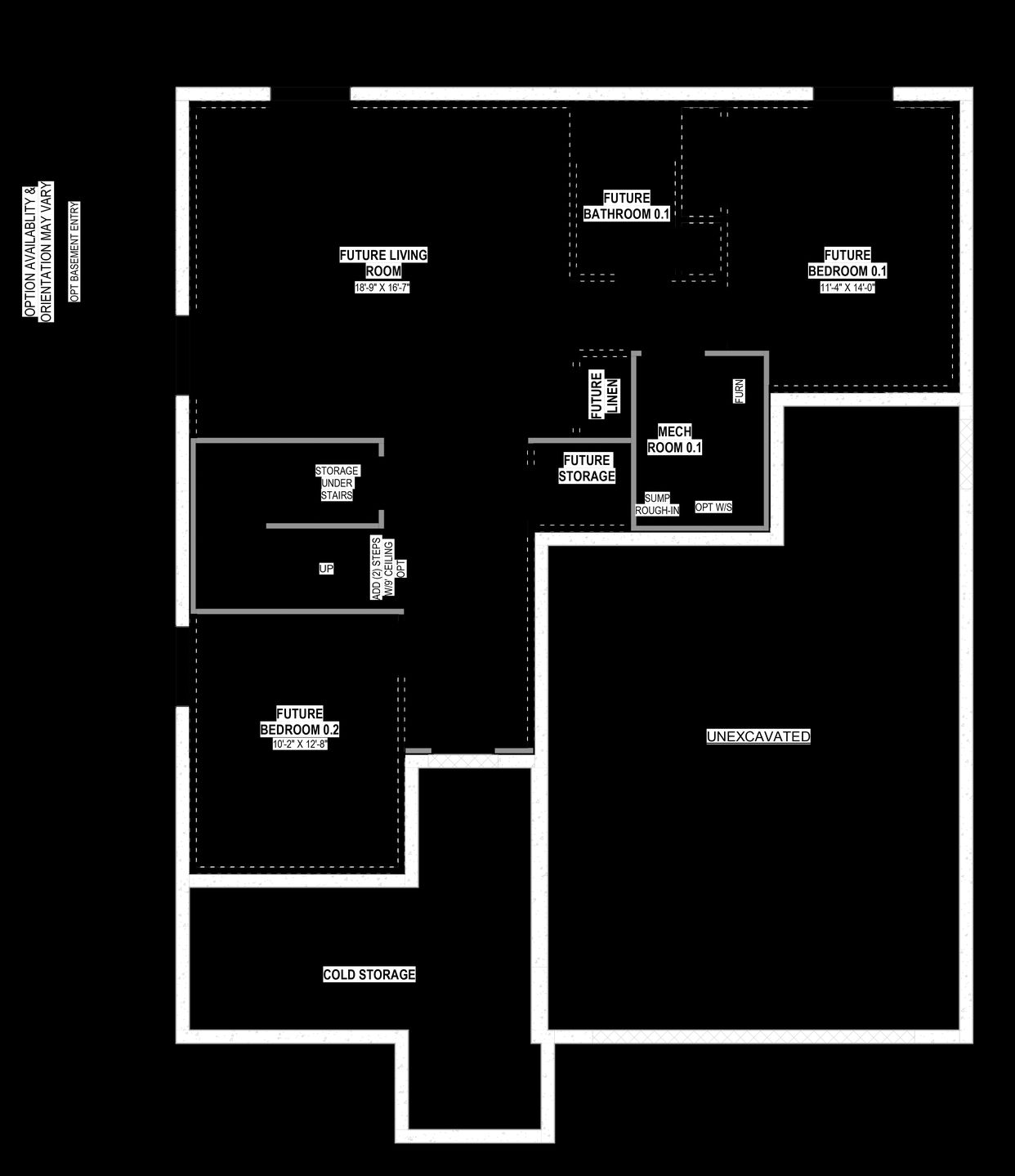 Unfinished Basement