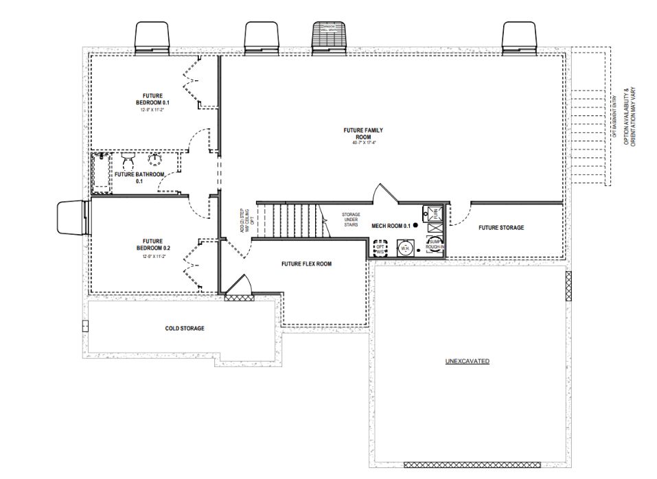 Unfinished Basement