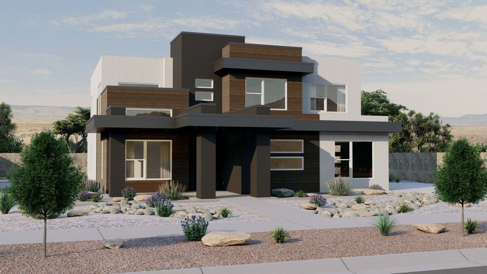 Desert Modern