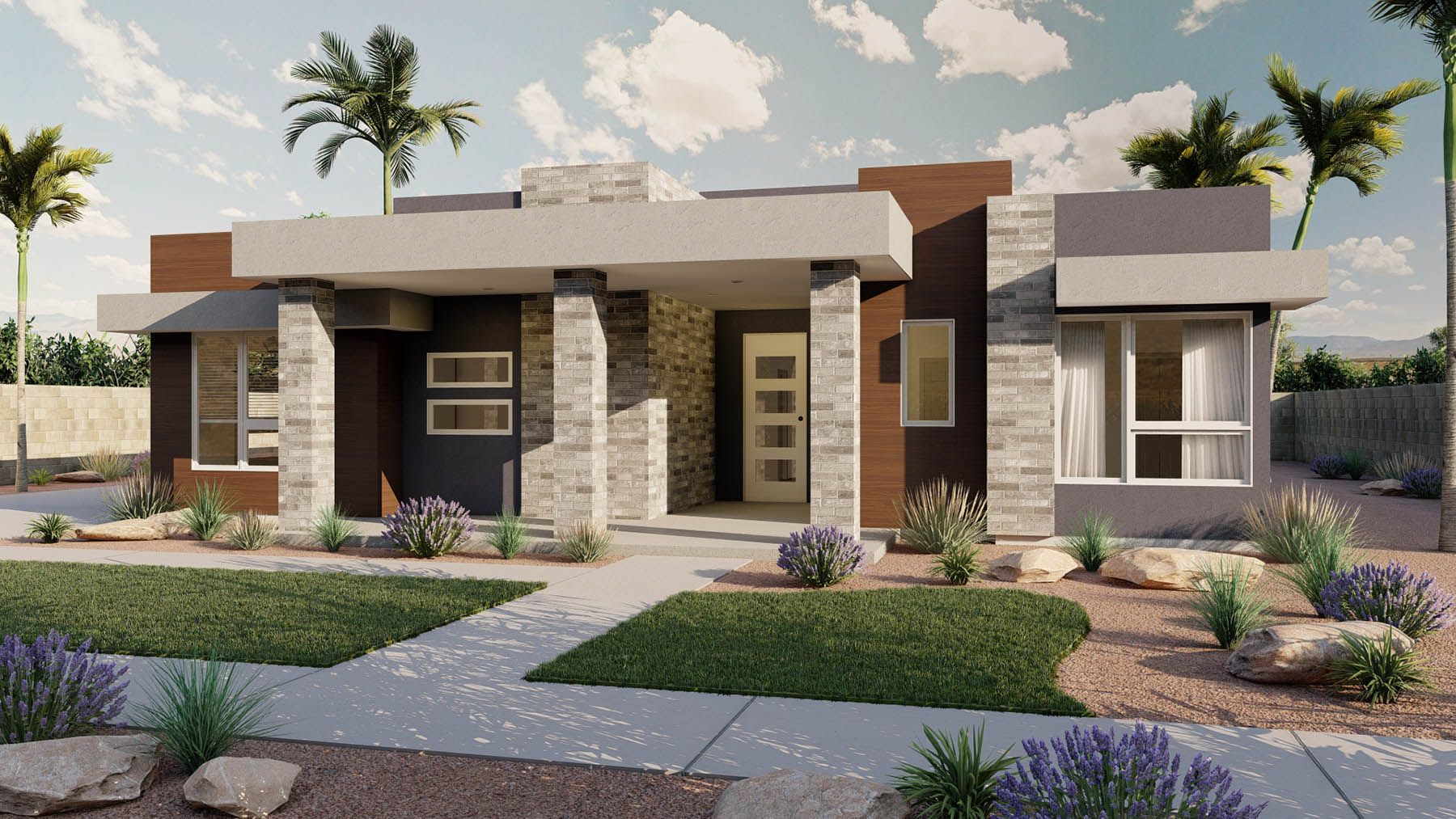Desert Modern