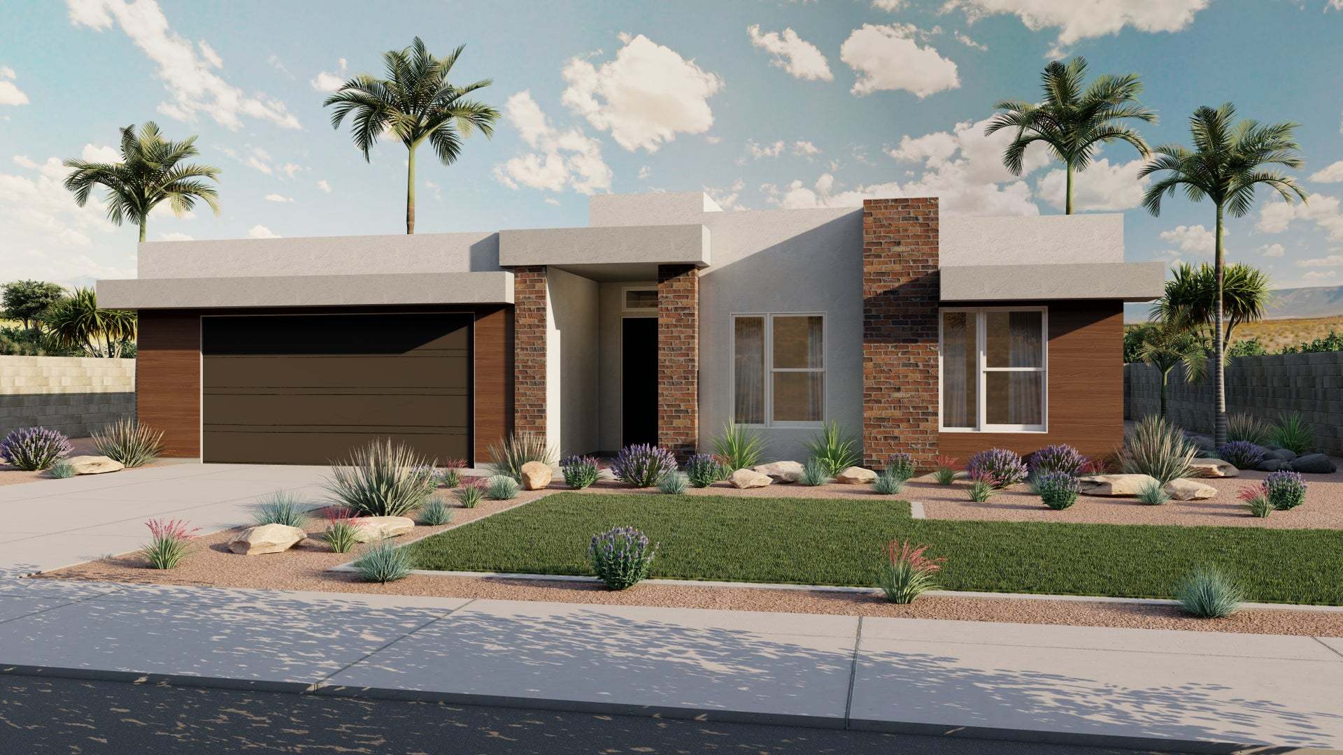 Desert Modern