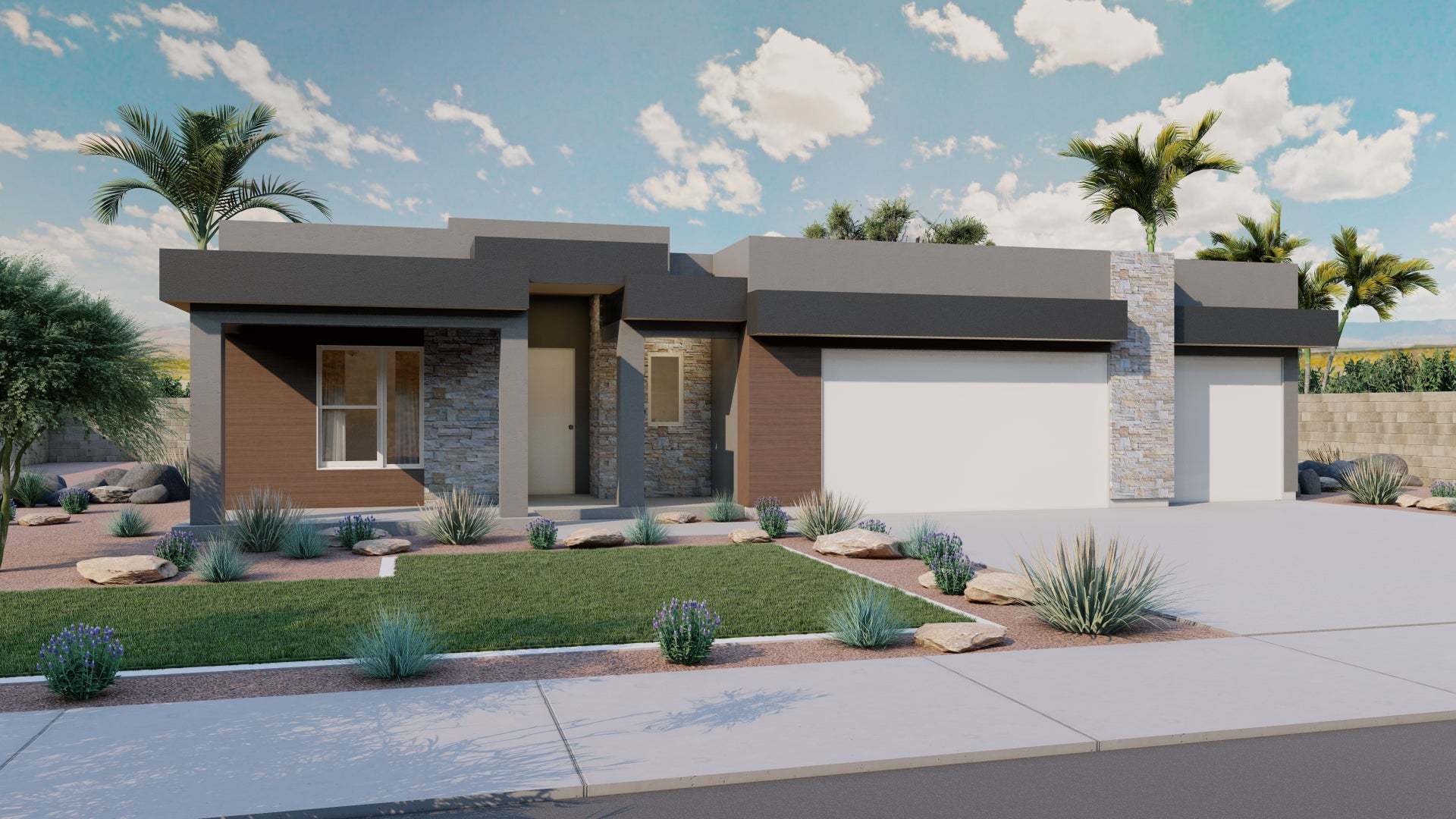Desert Modern