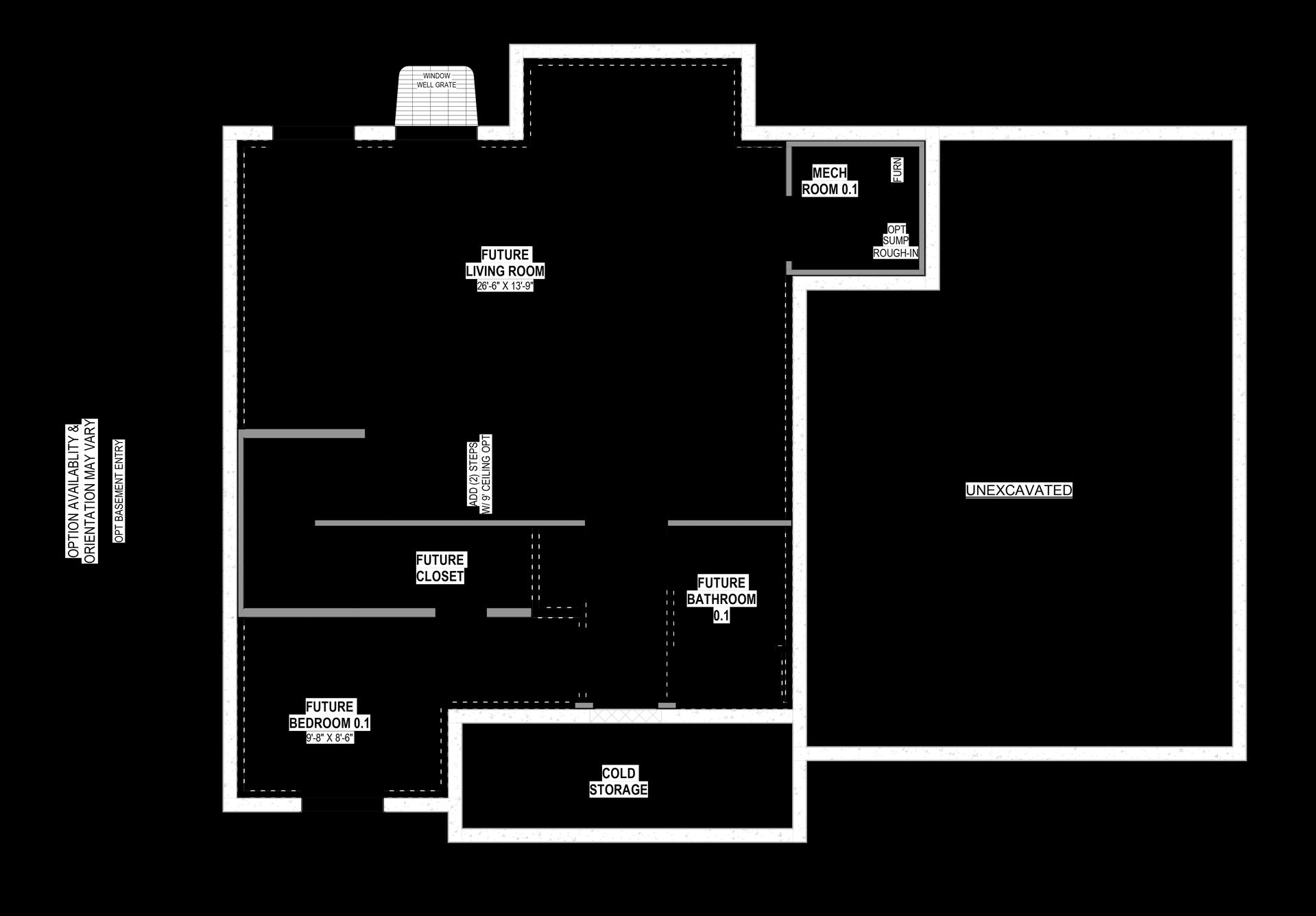 Unfinished Basement