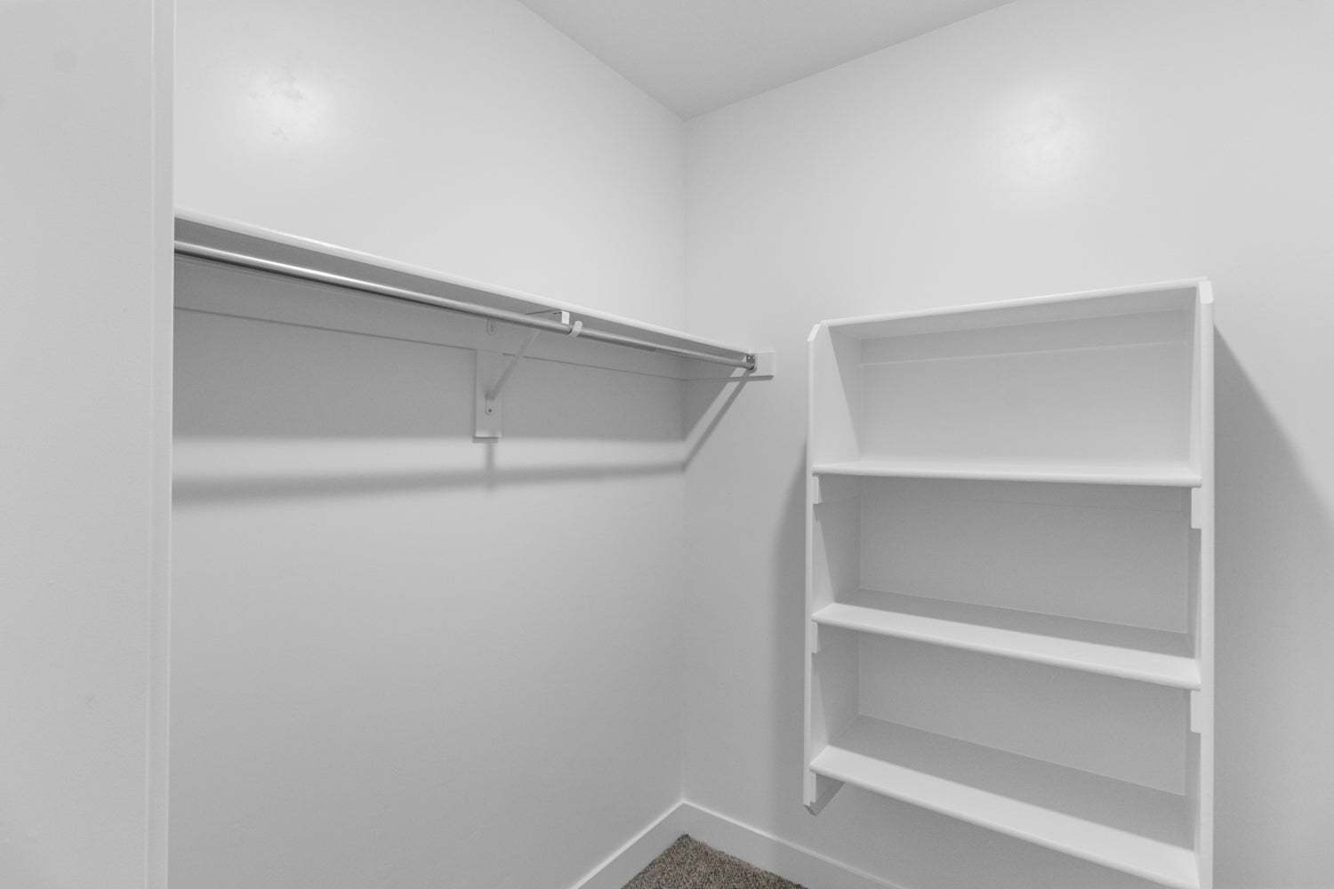 Owner's Bathroom/Closet - 2024