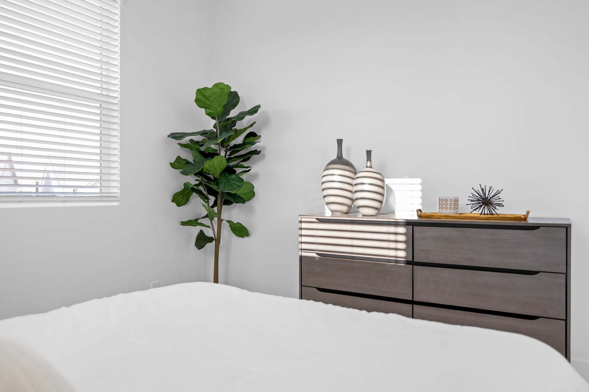 Come visit us at our Desert Color Condo Model and see this amazing plan in person! 6051 S Silver Birch Lane, Bldg 2, Unit 201