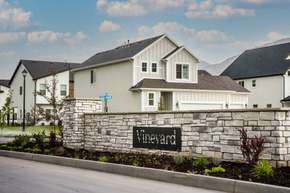 Vineyard - Providence - Providence, UT
