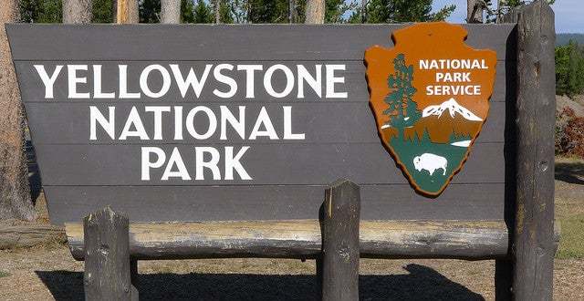 Yellowstone National Park