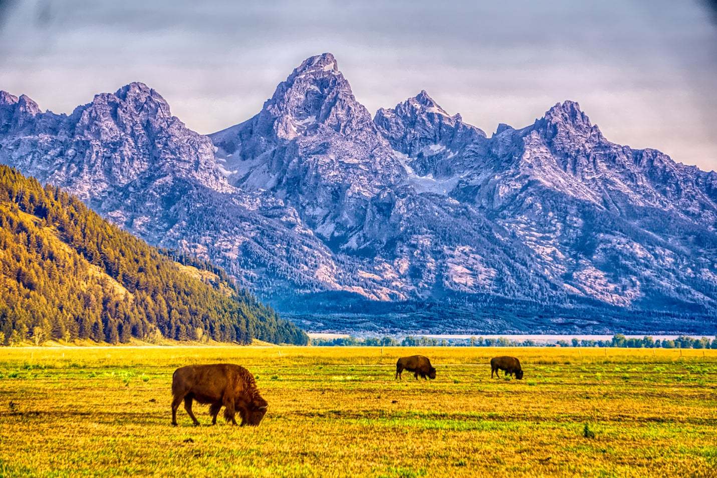 Yellowstone National Park