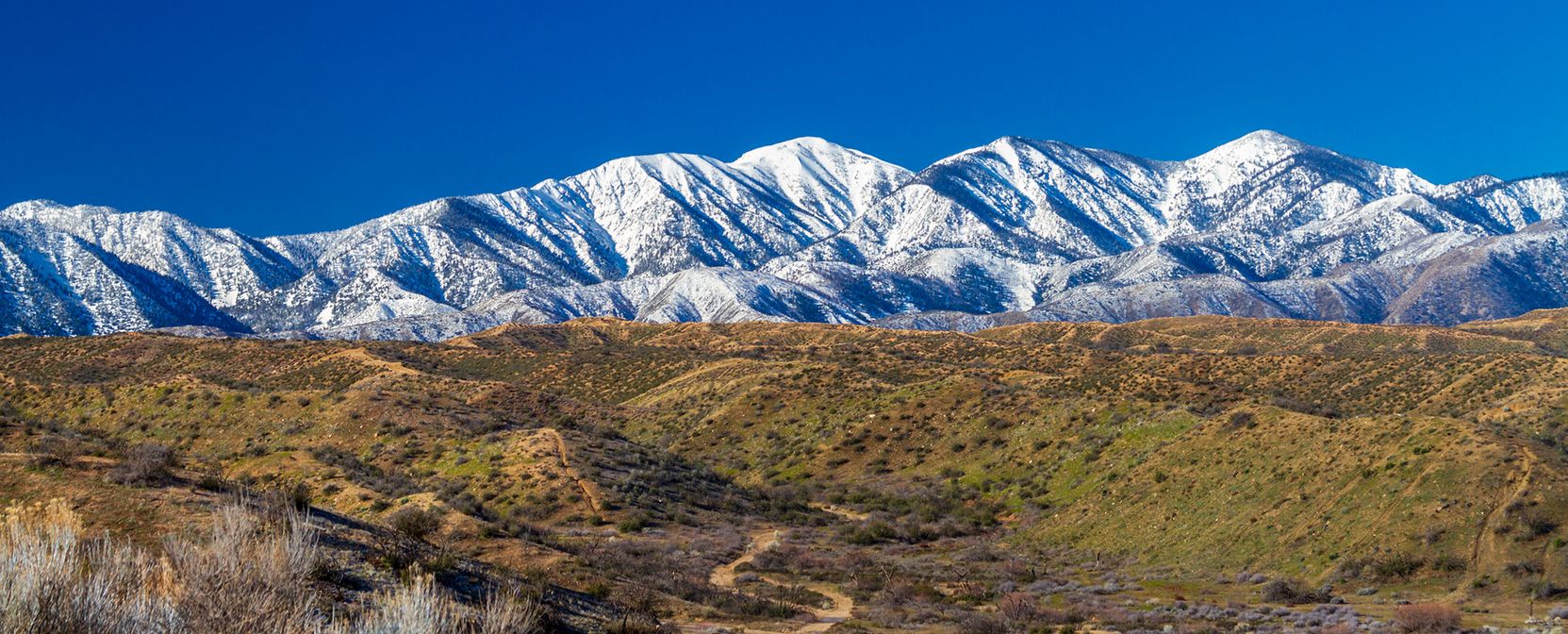 Just Under 1/2 Acre Lots Available.