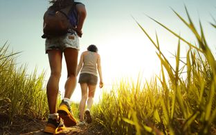 Langdon Preserve por Fonville Morisey Barefoot en Raleigh-Durham-Chapel Hill North Carolina